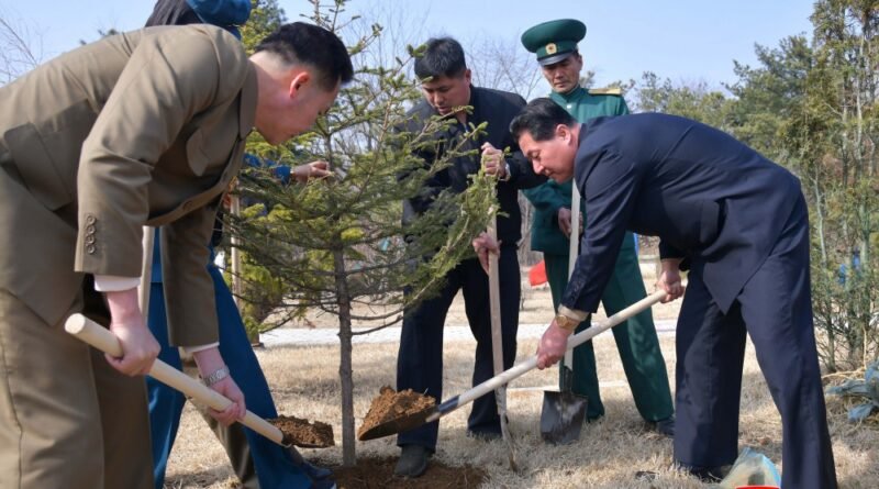 Trabalhadores plantam arvores em razão do Dia da Reflorestação